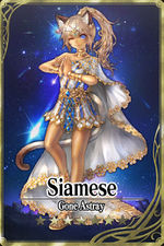 Siamese 7 card.jpg