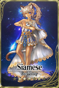 Siamese 7 card.jpg