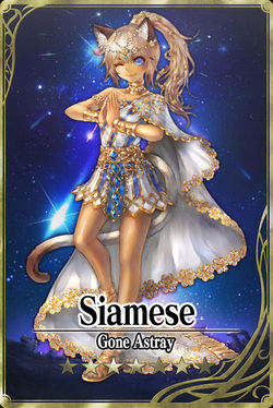 Siamese 7 card.jpg