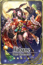 Habane card.jpg