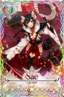 Sae card.jpg