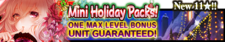 Mini Holiday Packs banner.png